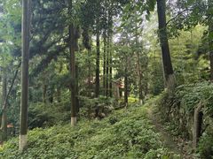 -莫干山风景区