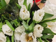 -双季花艺园艺市场(浦东店)