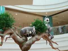 -大族广场Mall&More