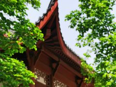 -堤角公园