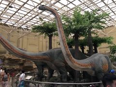 -国家自然博物馆