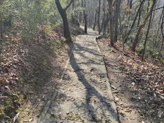 -上海佘山国家森林公园天马山园