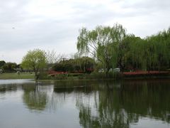 -杭州城北体育公园