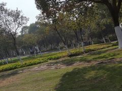 -艾溪湖湿地公园