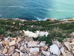 -东极岛景区-青浜岛