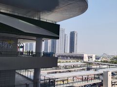 -港珠澳大桥(珠海段)