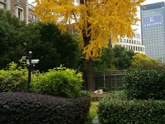 -Patek Philippe百达翡丽(上海源邸店)