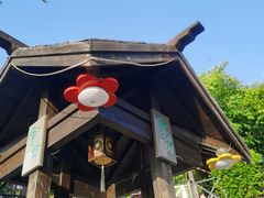 -崇阳三特浪口温泉