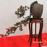 盆景艺术，匠心独具