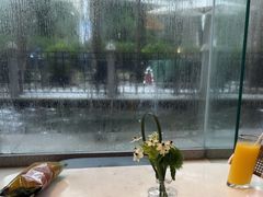 -深圳威尼斯英迪格酒店-邻芙花廊下午茶·NINFA GALLERY·蛋糕·咖啡
