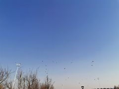 -丁香湖公园