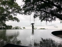 -大埔公路-马料水段香港中文大学(公交站)