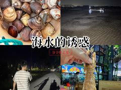 -北海金海湾红树林生态旅游区