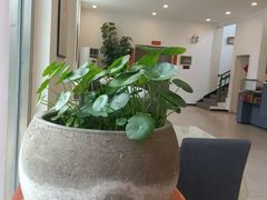 -李唐千秋客家菜