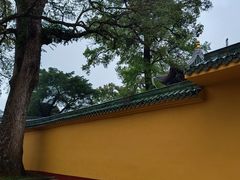 -南华禅寺