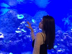 -华夏文旅西安度假区