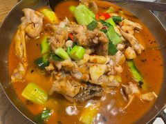 -新白鹿餐厅(城西银泰城店)