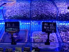 -渔民船说·北塘海鲜·天津菜·海肠捞饭(北塘古镇店)