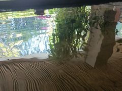 -明谷行馆·温泉