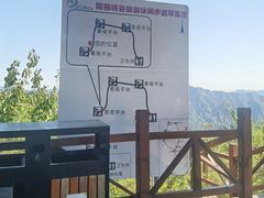 -大岭沟猕猴桃谷风景区