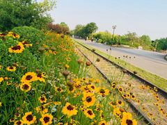 -永定河休闲森林公园
