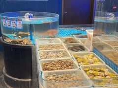 -望海臻鲜·海鲜餐厅