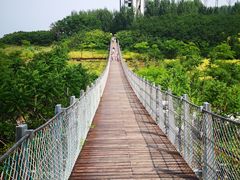 -辽宁团山国家级海洋公园