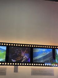 -飞览天下沉浸式飞行体验(北京旗舰店)