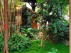 -成都市活水公园