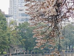 -红星桥(地铁站)