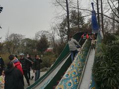 -成飞公园