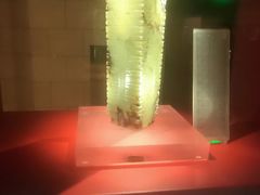 -金沙遗址博物馆
