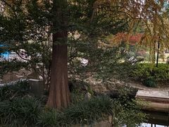 -中山公园