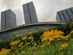 -映月湖中央公园
