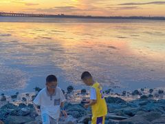 -宝安西湾红树林湿地公园