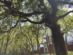 -福清灵石山国家森林公园