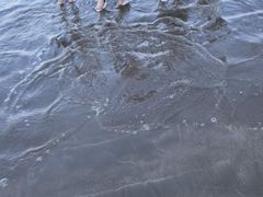 -东海半边山旅游度假区
