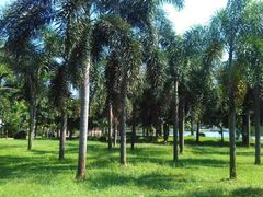 -白沙门生态公园