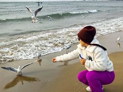 -老虎石海上公园