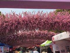 进门-南汇桃花村