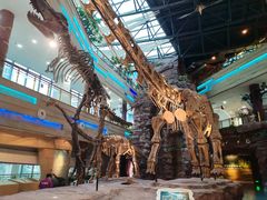 -安徽省地质博物馆