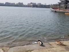 小麻花-地安门包子铺(地安门店)