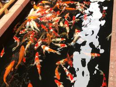 -侠成水上农庄(工业大道店)