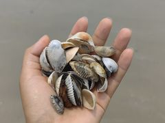 -侨港海滩