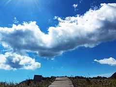 -白草畔自然风景区