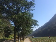 -广州市石门国家森林公园