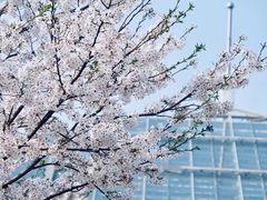 -龙美术馆(西岸馆)