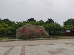 -塘沽森林公园