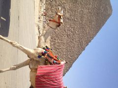 iphone_upload_pic-吉萨金字塔群