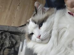 -白兔子密室(长寿路店)